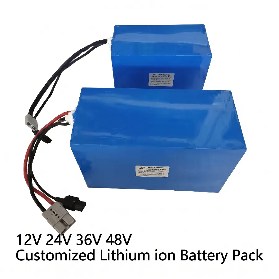 Pacote personalizado de bateria de lítio recarregável de 48V para robôs inteligentes com proteção BMS